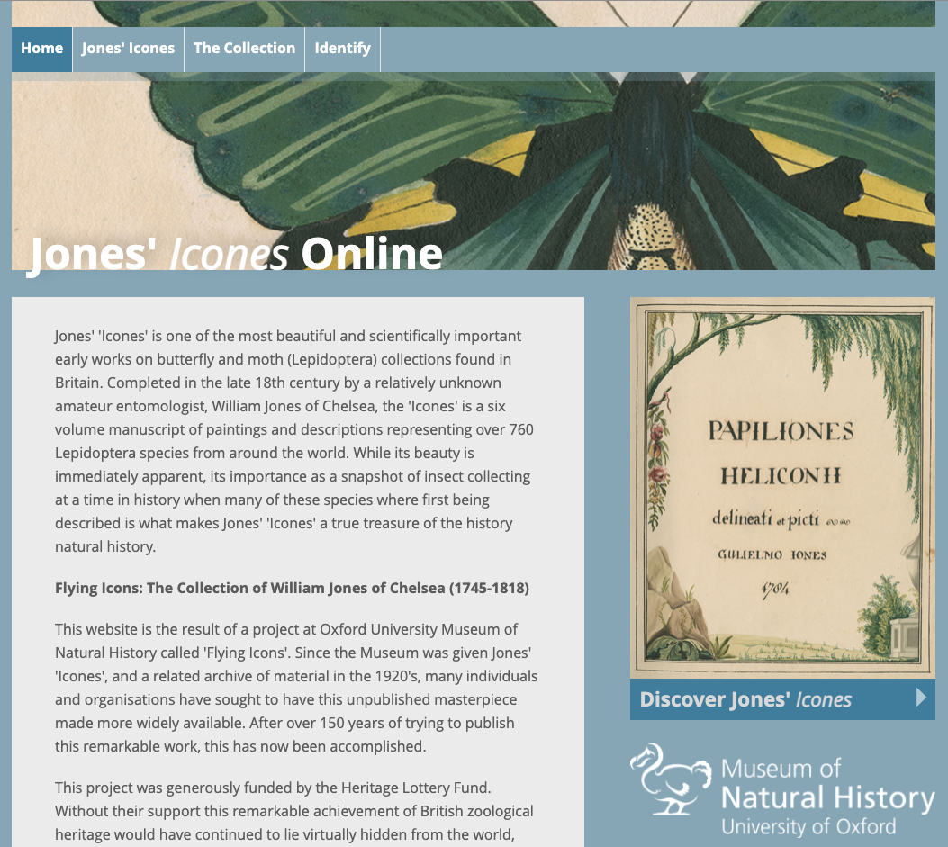 Jones' Icones Online: home page with introductory text on the significance of the 18th century collection of paintings and descriptions of butterfly species