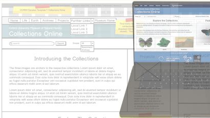Composite image showing stages (requirements elicitation and web site preview) in consultancy project for Oxford University's Museum of Natural History